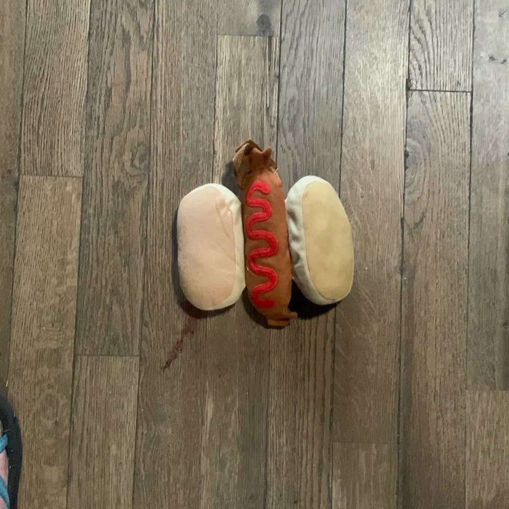 Hotdog costume AR